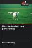 Mastite bovina