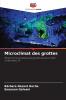 Microclimat des grottes