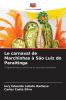 Le carnaval de Marchinhas à São Luiz do Paraitinga