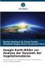 Google Earth-Bilder zur Analyse der Dynamik der Vegetationsdecke