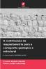 A contribuição da magnetometria para a cartografia geológica e estrutural