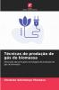Técnicas de produção de gás de biomassa
