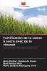 Fertilisation de la canne à sucre avec de la vinasse