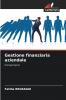 Gestione finanziaria aziendale