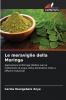 Le meraviglie della Moringa