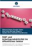 SIAF und Arbeitsproduktivität im öffentlichen Sektor