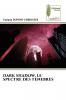DARK SHADOW LE SPECTRE DES TENEBRES