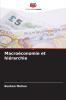 Macroéconomie et hiérarchie