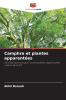 Camphre et plantes apparentées