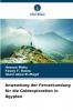 Anwendung der Fernerkundung für die Goldexploration in Ägypten