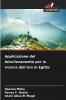 Applicazione del telerilevamento per la ricerca dell'oro in Egitto