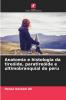 Anatomia e histologia da tireóide paratireóide e ultimobranquial do peru