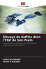 Élevage de buffles dans l'État de São Paulo