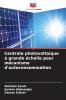 Centrale photovoltaïque à grande échelle pour mécanisme d'autoconsommation