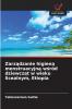 Zarządzanie higieną menstruacyjną wśród dziewcząt w wieku licealnym Etiopia