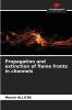 Propagation and extinction of flame fronts in channels
