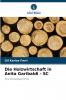Die Holzwirtschaft in Anita Garibaldi - SC
