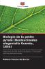 Biologie de la petite pyrale (Neoleucinodes elegantalis Guenée 1854)