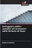 Sviluppare edifici semplici ed economici nella Striscia di Gaza
