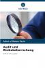 Audit und Risikobeherrschung