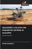 SELEZIONE E CALCOLO DEI PARAMETRI SISTEMA DI SVILUPPO