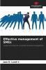 Effective management of SMEs