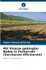Mit Vinasse gedüngter Boden in Zuckerrohr (Saccharum officinarum)