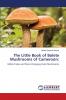 The Little Book of Bolete Mushrooms of Cameroon