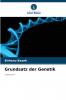 Grundsatz der Genetik