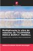 Multiplicação in vitro de rebentos de TYLOPHORA INDICA BURM.F. MERRILL