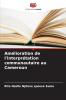 Amélioration de l'interprétation communautaire au Cameroun