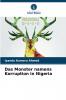 Das Monster namens Korruption in Nigeria