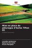 Mise en place de pâturages d'herbe Tifton 85