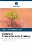 Komplexe hydrographische Systeme