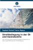 Streitbeilegung in der Öl- und Gasindustrie