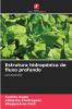 Estrutura hidropónica de fluxo profundo