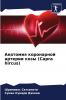 Анатомия коронарной артерии козы (Capra hircus)