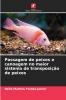Passagem de peixes e canoagem no maior sistema de transposição de peixes