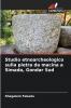 Studio etnoarcheologico sulla pietra da macina a Simada Gondar Sud