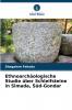 Ethnoarchäologische Studie über Schleifsteine in Simada Süd-Gondar
