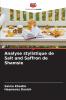 Analyse stylistique de Salt and Saffron de Shamsie