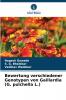 Bewertung verschiedener Genotypen von Gaillardia (G. pulchella L.)