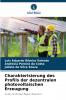 Charakterisierung des Profils der dezentralen photovoltaischen Erzeugung