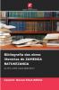 Bibliografia das obras literárias de ZAMENGA BATUKEZANGA