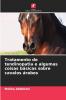 Tratamento de tendinopatia e algumas coisas básicas sobre cavalos árabes