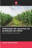 Utilização de recursos na produção de milho