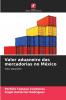 Valor aduaneiro das mercadorias no México