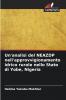 Un'analisi del NEAZDP nell'approvvigionamento idrico rurale nello Stato di Yobe Nigeria
