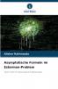 Asymptotische Formeln im Esterman-Problem