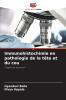 Immunohistochimie en pathologie de la tête et du cou